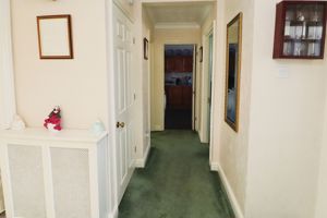 CONIFER CLOSE- click for photo gallery